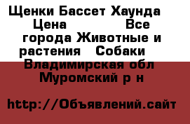 Щенки Бассет Хаунда  › Цена ­ 25 000 - Все города Животные и растения » Собаки   . Владимирская обл.,Муромский р-н